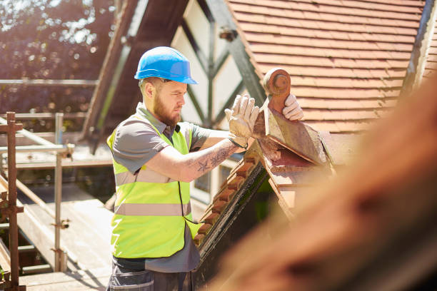 Roof Gutter Cleaning in Hudson, WI